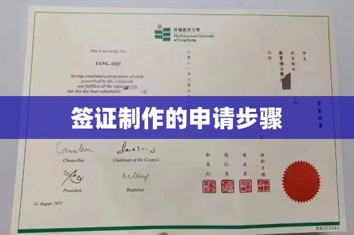 新田签证制作的申请步骤