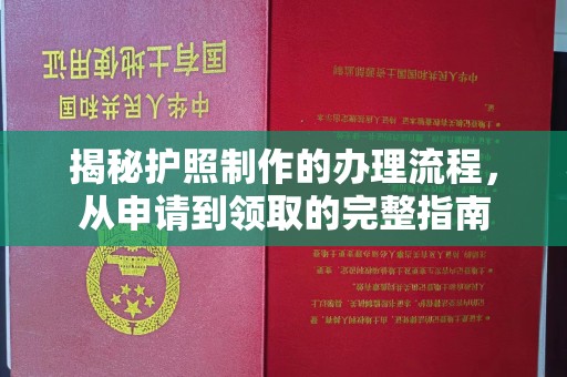 新田揭秘护照制作的办理流程，从申请到领取的完整指南