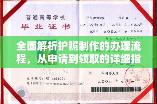 新田全面解析护照制作的办理流程，从申请到领取的详细指南