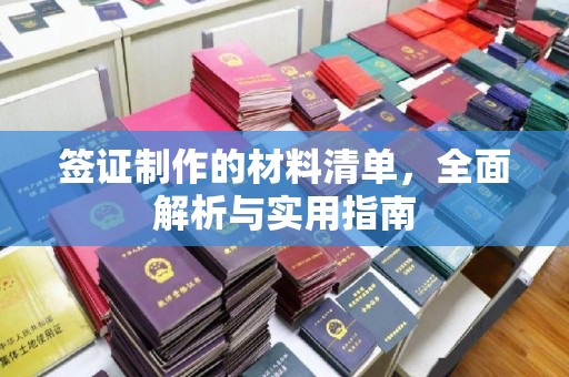 新田签证制作的材料清单，全面解析与实用指南