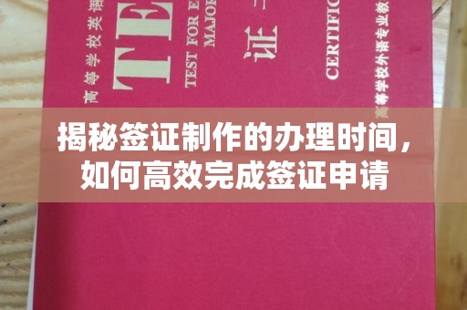新田揭秘签证制作的办理时间，如何高效完成签证申请