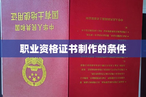 新田职业资格证书制作的条件