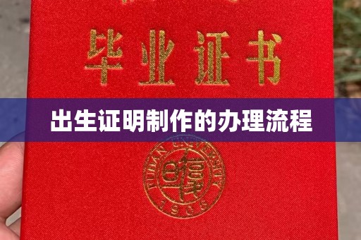 新田出生证明制作的办理流程