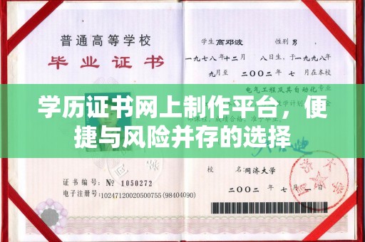 新田学历证书网上制作平台，便捷与风险并存的选择