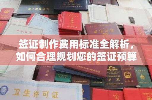 新田签证制作费用标准全解析，如何合理规划您的签证预算？